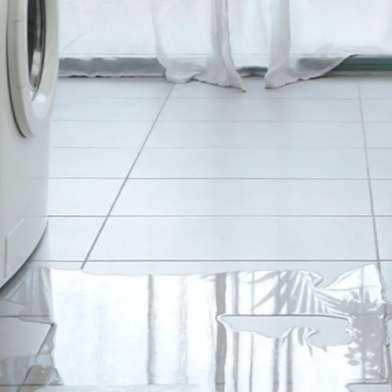 Appliance Leak Cleanup in Evans County, GA