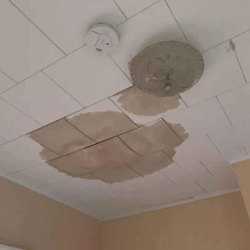Ceiling Water Damage Repair in Evans County, GA