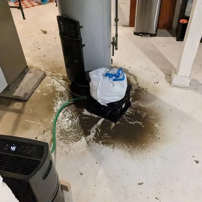 Sewage Backup Cleanup Service in Evans County, GA